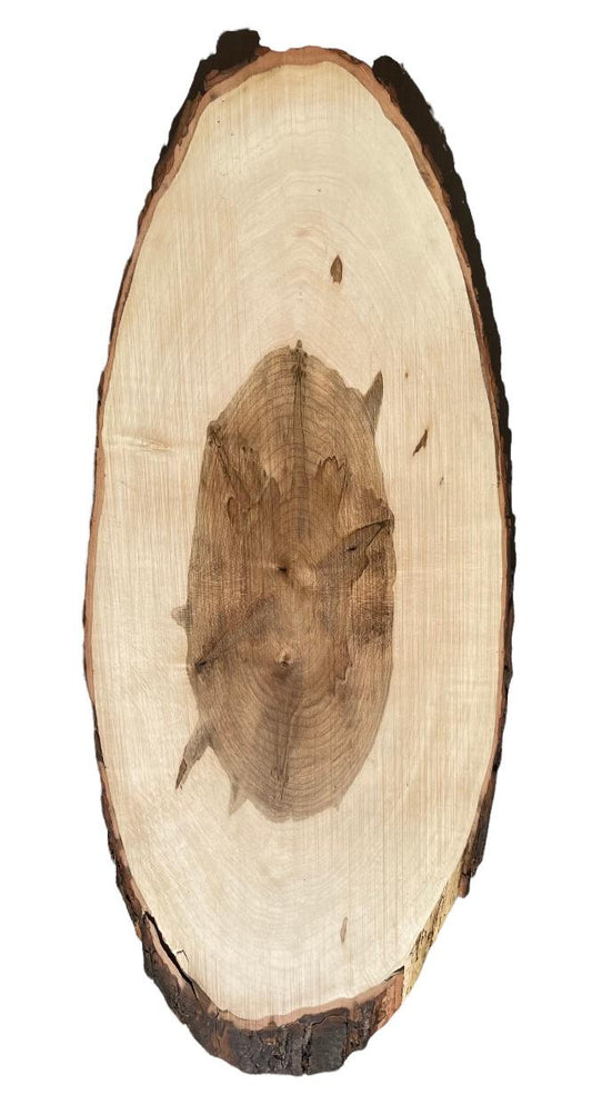 The Spalted Maple front view Approx Size 27 x 11