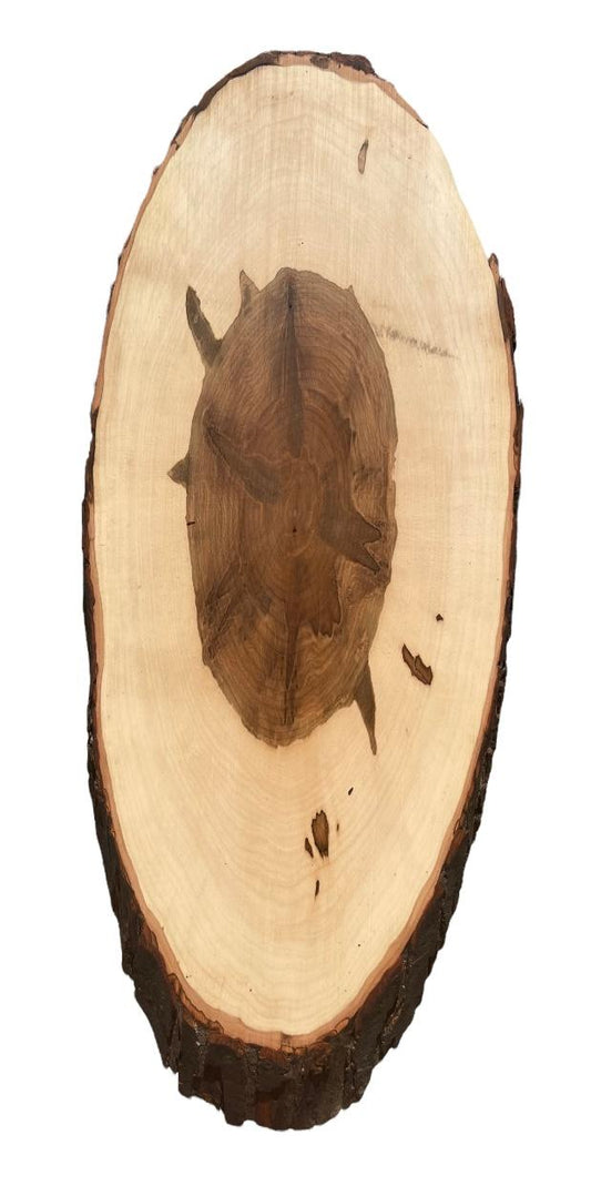 The Spalted Maple back view Approx Size 27 x 11
